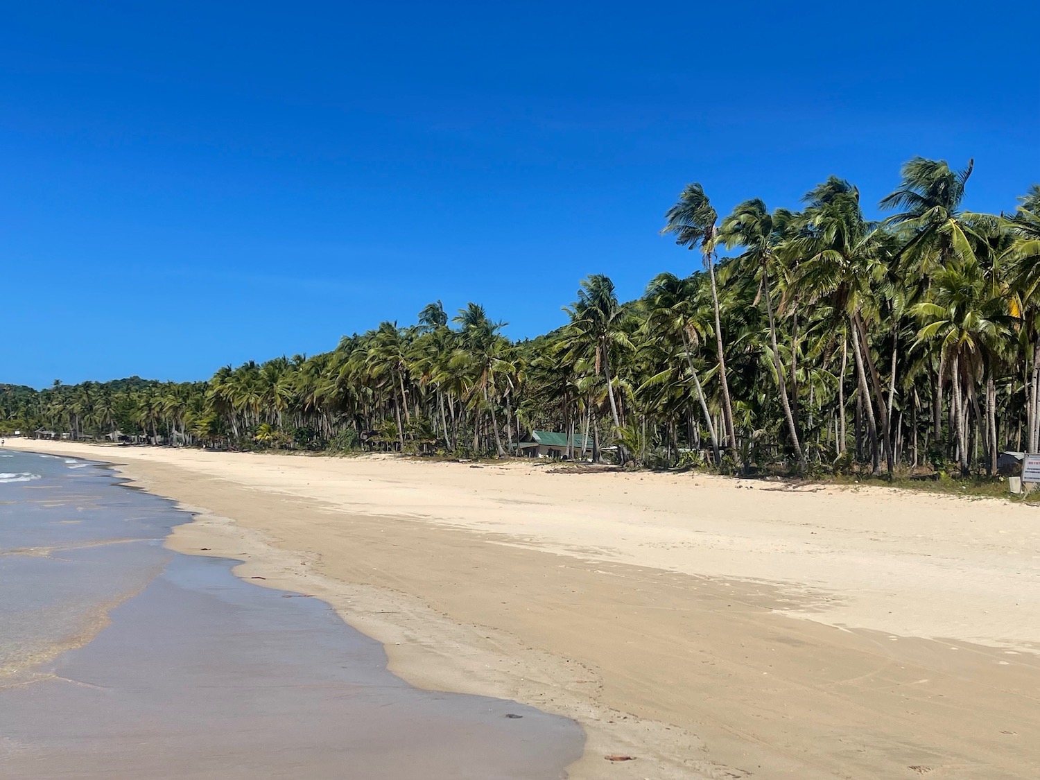 Nacpan Beach