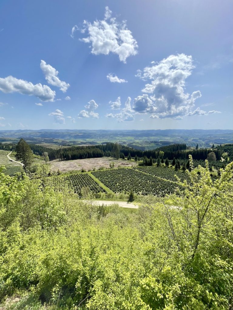 Panoramablick im Sauerland